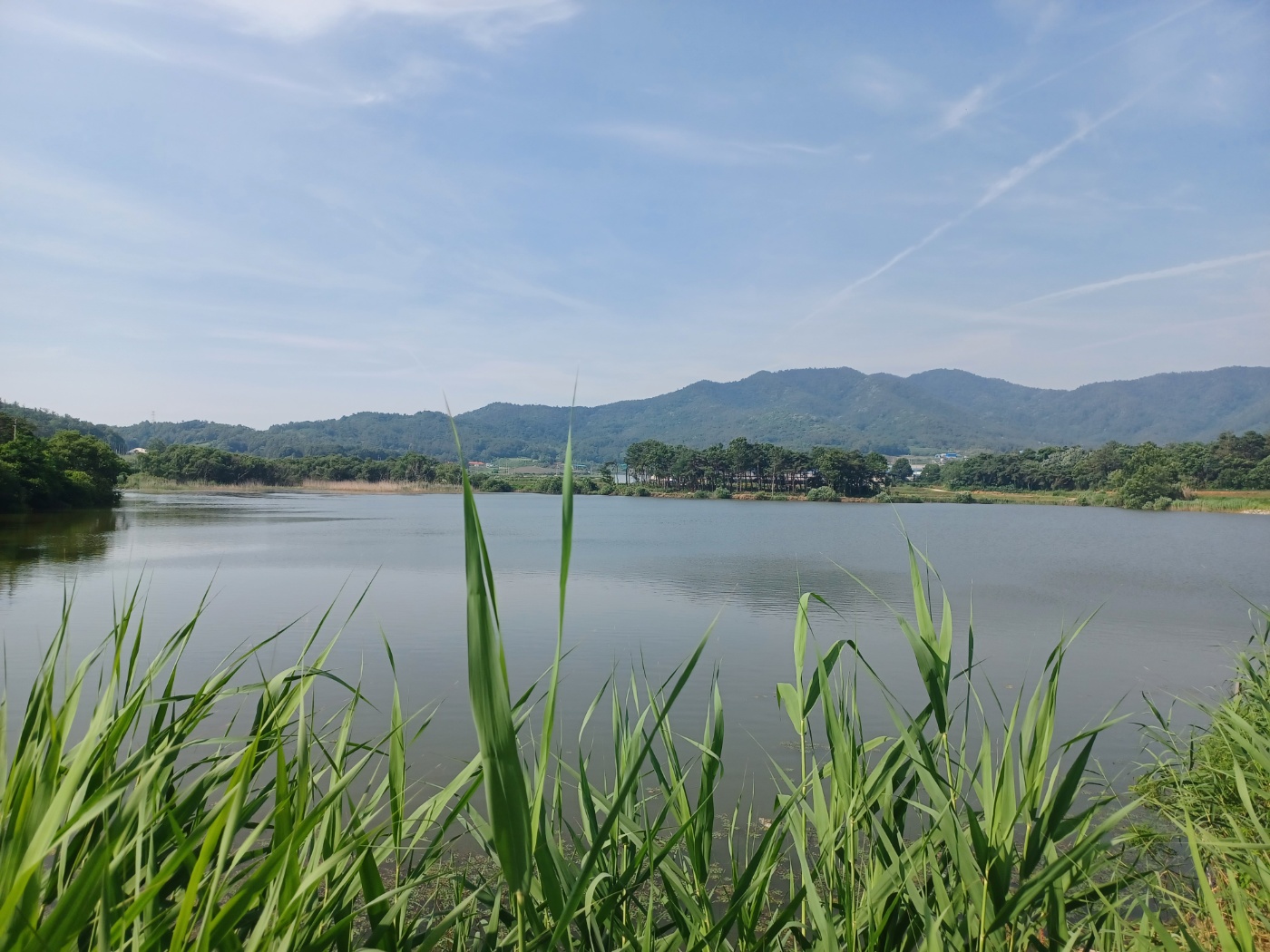 백계2리